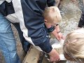 Maj2009 198